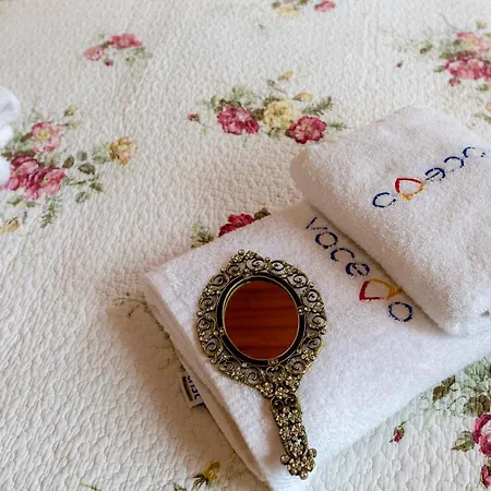 Townhall Nest Daire *